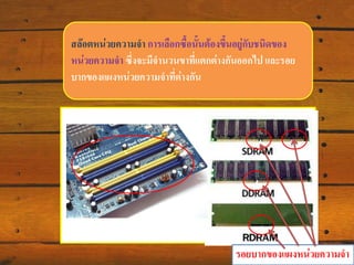 สล๊อตหน่วยความจา การเลือกซื้อนั้นต้องขึ้นอยู่กับชนิดของ
หน่วยความจา ซึ่งจะมีจานวนขาที่แตกต่างกันออกไป และรอย
บากของแผงหน่วยความจาที่ต่างกัน

รอยบากของแผงหน่วยความจา

 
