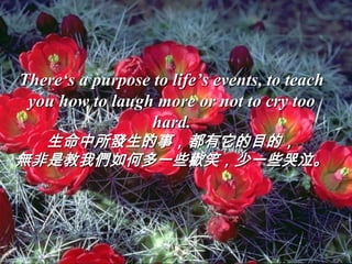There‘s a purpose to life’s events, to teach
 you how to laugh more or not to cry too
                  hard.
  生命中所發生的事，都有它的目的，
無非是教我們如何多一些歡笑，少一些哭泣。
 