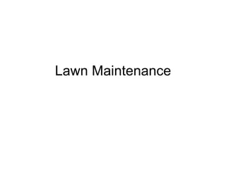 Lawn Maintenance 