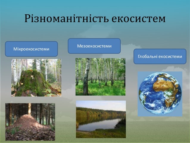 5 різноманітність екосистем
