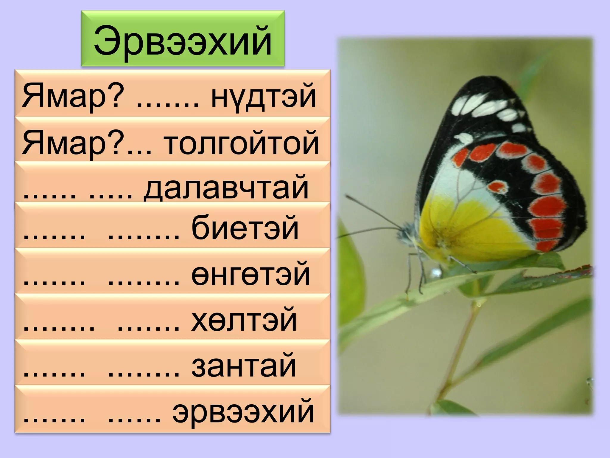 Эрвээхий
Ямар? ....... нүдтэй
Ямар?... толгойтой
...... ..... далавчтай
....... ........ биетэй
....... ........ өнгөтэй
........ ....... хөлтэй
....... ........ зантай
....... ...... эрвээхий
 