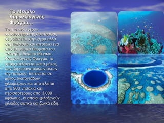 Το Μεγάλο
  Κοραλλιογενές
  Φράγμα...
Το πιο ενδιαφέρον
οικοσύστημα της Αυστραλίας
δε βρίσκεται στην ξηρά αλλά
στη θάλασσα και αποτελεί ένα
από τα φυσικά θαύματα του
πλανήτη. Είναι το Μεγάλο
Κοραλλιογενές Φράγμα, το
οποίο απλώνεται κατά μήκος
των βορειοανατολικών ακτών
της ηπείρου. Εκτείνεται σε
μήκος εκατοντάδων
χιλιομέτρων και αποτελείται
από 900 νησάκια και
περισσότερους από 3.000
υφάλους, οι οποίοι φιλοξενούν
χιλιάδες φυτικά και ζωικά είδη.
 
