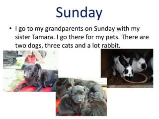 Sunday
• I go to my grandparents on Sunday with my
sister Tamara. I go there for my pets. There are
two dogs, three cats and a lot rabbit.
 