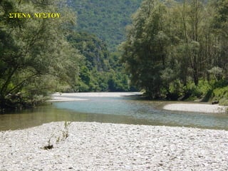 ΣΤΕΝΑ ΝΕΣΤΟΥΣΤΕΝΑ ΝΕΣΤΟΥ
 