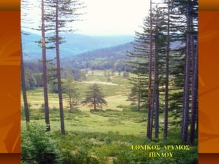 ΕΘΝΙΚΟΣ ΔΡΥΜΟΣΕΘΝΙΚΟΣ ΔΡΥΜΟΣ
ΠΙΝΔΟΥΠΙΝΔΟΥ
 