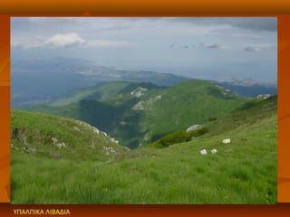 ΥΠΑΛΠΙΚΑ ΛΙΒΑΔΙΑ
 