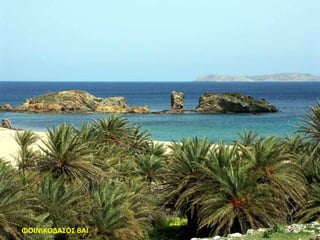 ΦΟΙΝΙΚΟΔΑΣΟΣ ΒΑΪ
 