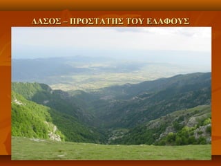 ΔΑΣΟΣ – ΠΡΟΣΤΑΤΗΣ ΤΟΥ ΕΔΑΦΟΥΣΔΑΣΟΣ – ΠΡΟΣΤΑΤΗΣ ΤΟΥ ΕΔΑΦΟΥΣ
 