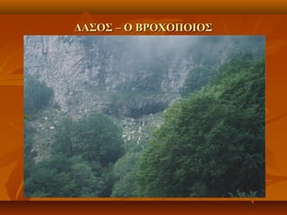 ΔΑΣΟΣ – Ο ΒΡΟΧΟΠΟΙΟΣΔΑΣΟΣ – Ο ΒΡΟΧΟΠΟΙΟΣ
 