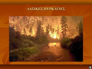 ΔΑΣΙΚΕΣ ΠΥΡΚΑΓΙΕΣΔΑΣΙΚΕΣ ΠΥΡΚΑΓΙΕΣ
 