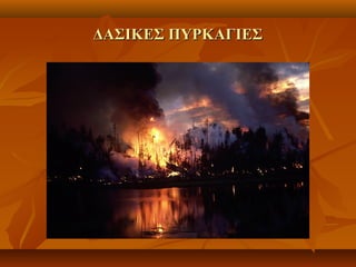 ΔΑΣΙΚΕΣ ΠΥΡΚΑΓΙΕΣΔΑΣΙΚΕΣ ΠΥΡΚΑΓΙΕΣ
 