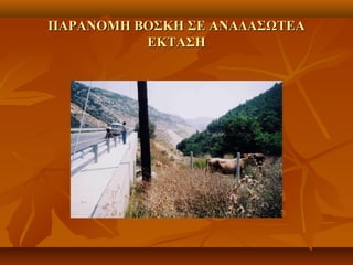 ΠΑΡΑΝΟΜΗ ΒΟΣΚΗ ΣΕ ΑΝΑΔΑΣΩΤΕΑΠΑΡΑΝΟΜΗ ΒΟΣΚΗ ΣΕ ΑΝΑΔΑΣΩΤΕΑ
ΕΚΤΑΣΗΕΚΤΑΣΗ
 