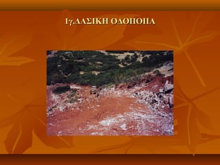 1γ.ΔΑΣΙΚΗ ΟΔΟΠΟΙΙΑ1γ.ΔΑΣΙΚΗ ΟΔΟΠΟΙΙΑ
 