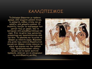 Πα βιέθανα βάθμκηακ με πνάζηκμ
πνώμα, από ηνημμέκε μαιαθή πέηνα,
ημ μαιαπίηε, θαζώξ επίζεξ θαη με
γαιάδημ, από ρήγμαηα παιθμύ. Μη
Αηγύπηηεξ ηόκηδακ ημ πενίγναμμα ηςκ
μαηηώκ ημοξ με μαύνμ, πμο ημ
έθηηαπκακ από μμιοβδμμεηάιιεμα θαη
κενό. Έηζη ηα μάηηα ημοξ θαίκμκηακ
μεγαιύηενα θαη πνμζηαηεύμκηακ από
ημκ ήιημ. Πα μάγμοια θαη ηα πείιε ηα
έβαθακ με θόθθηκε ώπνα. Φμνμύζακ
ζηα πείιε ημοξ θόθθηκε ζεναπεοηηθή
αιμηθή θαη έβαθακ επίζεξ θόθθηκα ηα
κύπηα ηςκ πενηώκ θαη ηςκ πμδηώκ
ημοξ. ΢νεζημμπμημύζακ εηδηθέξ
θνέμεξ γηα κα έπμοκ θςηεηκό
πνόζςπμ, αιιά θαη γηα κα απμθύγμοκ
ηηξ ακεπηζύμεηεξ νοηίδεξ.
ΗΑΘΘΩΝΖΟΙ΋Ο
 