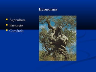 EconomiaEconomia
 AgriculturaAgricultura
 PastoreioPastoreio
 ComércioComércio
 