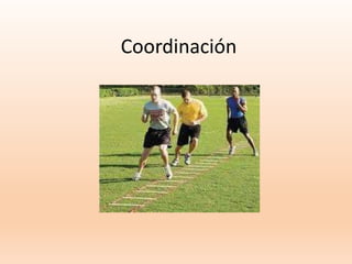 Coordinación
 