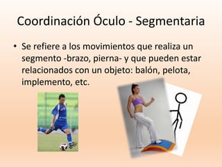 Coordinación Óculo - Segmentaria
• Se refiere a los movimientos que realiza un
segmento -brazo, pierna- y que pueden estar
relacionados con un objeto: balón, pelota,
implemento, etc.
 