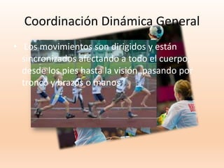 Coordinación Dinámica General
• Los movimientos son dirigidos y están
sincronizados afectando a todo el cuerpo,
desde los pies hasta la visión, pasando por
tronco y brazos o manos
 