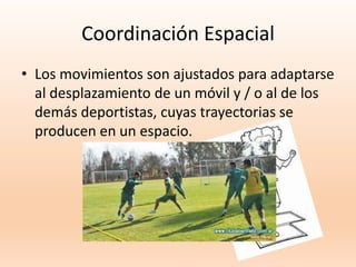 Coordinación Espacial
• Los movimientos son ajustados para adaptarse
al desplazamiento de un móvil y / o al de los
demás deportistas, cuyas trayectorias se
producen en un espacio.
 