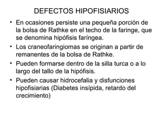 DEFECTOS HIPOFISIARIOS
• En ocasiones persiste una pequeña porción de
la bolsa de Rathke en el techo de la faringe, que
se denomina hipófisis faríngea.
• Los craneofaringiomas se originan a partir de
remanentes de la bolsa de Rathke.
• Pueden formarse dentro de la silla turca o a lo
largo del tallo de la hipófisis.
• Pueden causar hidrocefalia y disfunciones
hipofisiarias (Diabetes insípida, retardo del
crecimiento)
 
