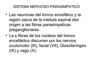 SISTEMA NERVIOSO PARASIMPATICO
• Las neuronas del tronco encefálico y la
región sacra de la médula espinal dan
origen a las fibras parasimpaticas
preganglionares.
• La s fibras de los núcleos del tronco
encefáklico discurren por los nervios
oculomotor (III), facial (VII), Glosofaríngeo
(IX) y vago (X).
 