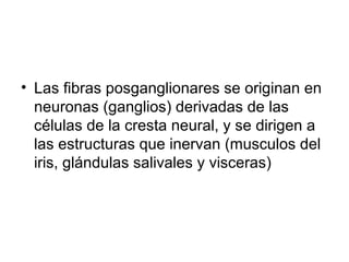 • Las fibras posganglionares se originan en
neuronas (ganglios) derivadas de las
células de la cresta neural, y se dirigen a
las estructuras que inervan (musculos del
iris, glándulas salivales y visceras)
 