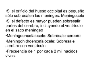 •Si el orificio del hueso occipital es pequeño
sólo sobresalen las meninges: Meningocele
•Si el defecto es mayor pueden sobresalir
partes del cerebro, incluyendo el ventrículo
en el saco meníngeo
•Meningoencefalocele: Sobresale cerebro
•Meningohidroencefalocele: Sobresale
cerebro con ventrículo
•Frecuencia de 1 por cada 2 mil nacidos
vivos
 