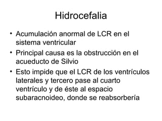 Hidrocefalia
• Acumulación anormal de LCR en el
sistema ventricular
• Principal causa es la obstrucción en el
acueducto de Silvio
• Esto impide que el LCR de los ventrículos
laterales y tercero pase al cuarto
ventrículo y de éste al espacio
subaracnoideo, donde se reabsorbería
 