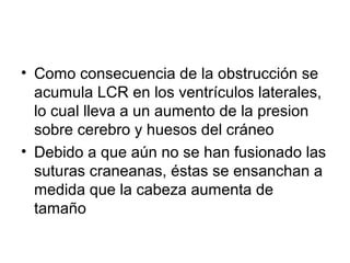• Como consecuencia de la obstrucción se
acumula LCR en los ventrículos laterales,
lo cual lleva a un aumento de la presion
sobre cerebro y huesos del cráneo
• Debido a que aún no se han fusionado las
suturas craneanas, éstas se ensanchan a
medida que la cabeza aumenta de
tamaño
 