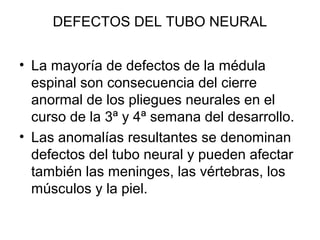 DEFECTOS DEL TUBO NEURAL
• La mayoría de defectos de la médula
espinal son consecuencia del cierre
anormal de los pliegues neurales en el
curso de la 3ª y 4ª semana del desarrollo.
• Las anomalías resultantes se denominan
defectos del tubo neural y pueden afectar
también las meninges, las vértebras, los
músculos y la piel.
 