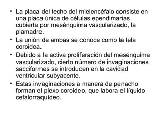 • La placa del techo del mielencéfalo consiste en
una placa única de células ependimarias
cubierta por mesénquima vascularizado, la
piamadre.
• La unión de ambas se conoce como la tela
coroidea.
• Debido a la activa proliferación del mesénquima
vascularizado, cierto número de invaginaciones
sacciformes se introducen en la cavidad
ventricular subyacente.
• Estas invaginaciones a manera de penacho
forman el plexo coroideo, que labora el líquido
cefalorraquídeo.
 