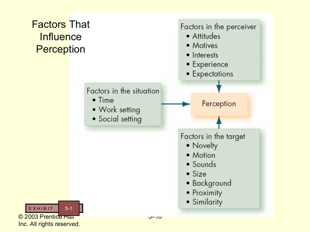 5. the perception process