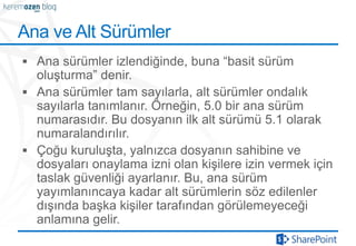 Ana ve Alt üü
 