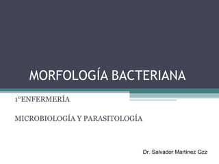 MORFOLOGÍA BACTERIANA
1°ENFERMERÍA
MICROBIOLOGÍA Y PARASITOLOGÍA
Dr. Salvador Martínez Gzz
 