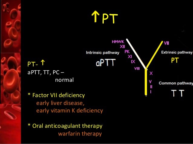pt inr normal range on warfarin pt inr normal range on warfarin