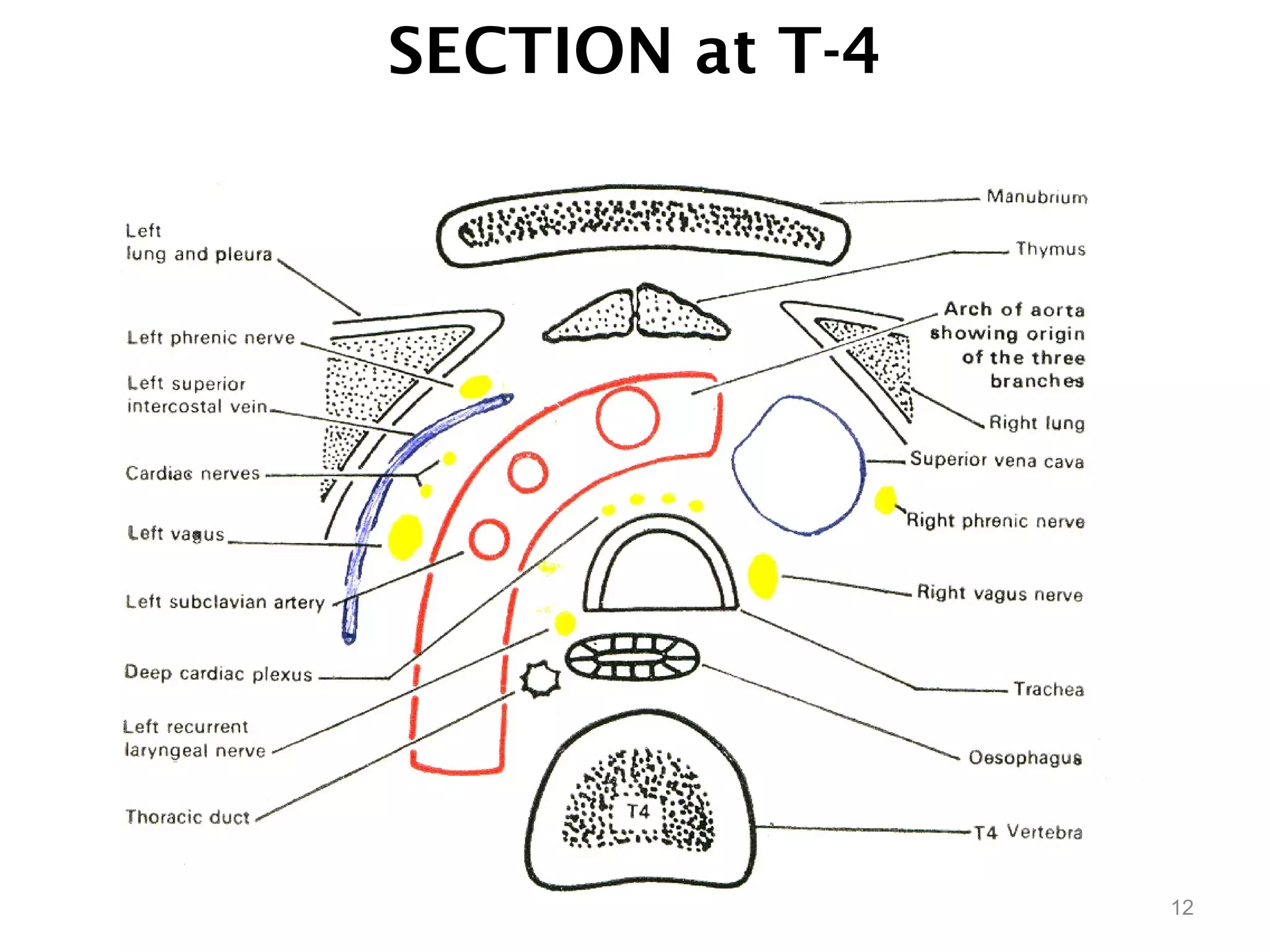 SECTION at T-4
12
 