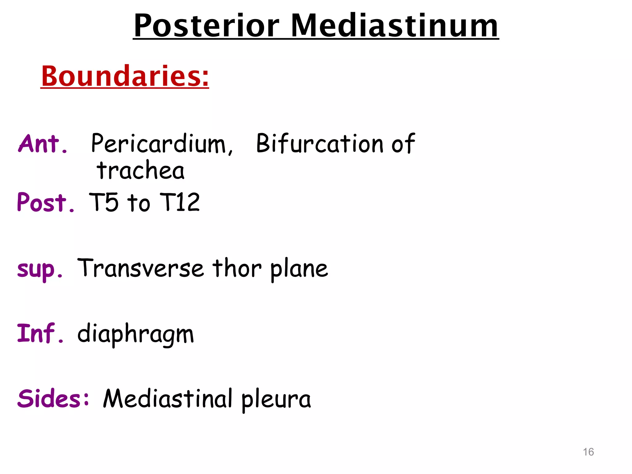 Posterior Mediastinum
Boundaries:
Ant. Pericardium, Bifurcation of
trachea
Post. T5 to T12
sup. Transverse thor plane
Inf. diaphragm
Sides: Mediastinal pleura
16
 