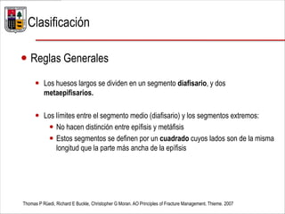 Clasificación
 Reglas Generales
 Los huesos largos se dividen en un segmento diafisario, y dos
metaepifisarios.
 Los límites entre el segmento medio (diafisario) y los segmentos extremos:
 No hacen distinción entre epífisis y metáfisis
 Estos segmentos se definen por un cuadrado cuyos lados son de la misma
longitud que la parte más ancha de la epífisis
Thomas P Rüedi, Richard E Buckle, Christopher G Moran. AO Principles of Fracture Management. Thieme. 2007
 