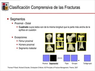  Segmentos
 Proximal – Distal
 Cuadrado cuyos lados son de la misma longitud que la parte más ancha de la
epífisis en cuestión
 Excepciones
 Fémur proximal
 Húmero proximal
 Segmento maleolar
Thomas P Rüedi, Richard E Buckle, Christopher G Moran. AO Principles of Fracture Management. Thieme. 2007
Hueso Segmento Tipo Grupo Subgrupo
— .
Clasificación Comprensiva de las Fracturas
 