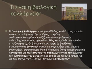 Τι είναι η βιολογική
καλλιέργεια;
 Η Βιολογική Καλλιέργεια είναι μια μέθοδος καλλιέργειας η οποία
ελαχιστοποιεί ή αποφεύγει πλήρως τη χρήση
συνθετικών λιπασμάτων και ζιζανιοκτόνων, ρυθμιστών
ανάπτυξης των φυτών, ορμονών καθώς και πρόσθετων ουσιών
στις ζωοτροφές. Οι βιολογικοί καλλιεργητές βασίζονται
σε αμειψισπορά (εναλλαγή φυτών για συγκομιδή), υπολείμματα
συγκομιδών, αγρανάπαυση, ζωικά λιπάσματα (κοπριά) και μηχανική
καλλιέργεια για τη διατήρηση της παραγωγικότητας του χώματος,
τον εμπλουτισμό του με θρεπτικές ουσίες για τα φυτά καθώς και
για τον έλεγχο των ζιζανίων, εντόμων και παράσιτων.
 
 