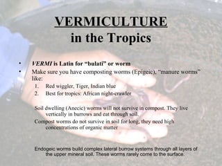 VERMICULTURE
in the Tropics
• VERMI is Latin for “bulati” or worm
• Make sure you have composting worms (Epigeic), “manure worms”
like:
1. Red wiggler, Tiger, Indian blue
2. Best for tropics: African night-crawler
Soil dwelling (Anecic) worms will not survive in compost. They live
vertically in burrows and eat through soil.
Compost worms do not survive in soil for long, they need high
concentrations of organic matter
Endogeic worms build complex lateral burrow systems through all layers of
the upper mineral soil. These worms rarely come to the surface.
 