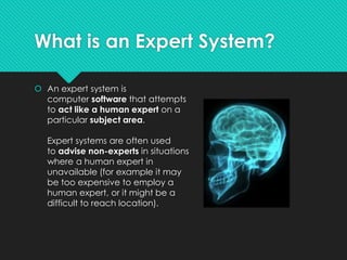 5.11 expert system