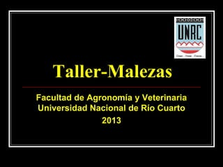 Taller-Malezas
Facultad de Agronomía y Veterinaria
Universidad Nacional de Río Cuarto
2013
 
