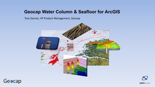 Geocap Water Column & Seafloor for ArcGIS
Tore Sannes, VP Product Management, Geocap

 