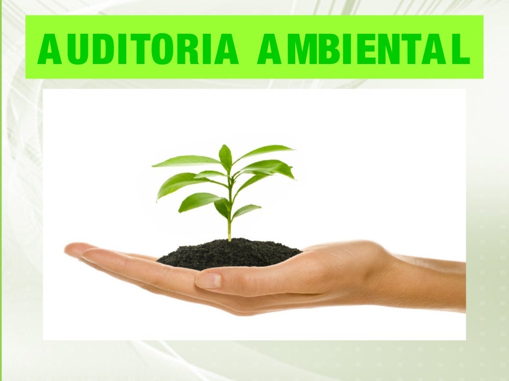 O Que é Auditoria Ambiental 5. auditoria ambiental