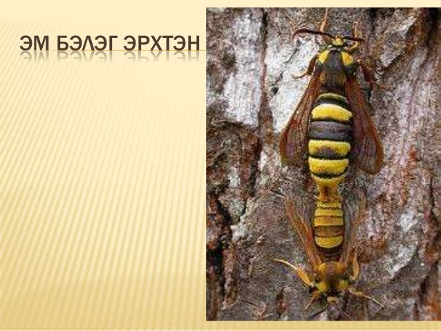лекц 5 энто