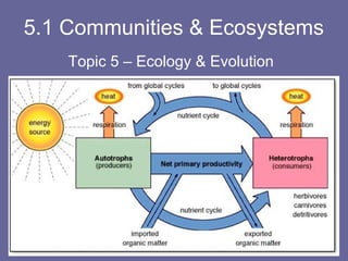 5.1 Communities & Ecosystems
Topic 5 – Ecology & Evolution

 