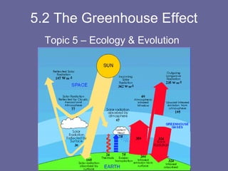 5.2 The Greenhouse Effect
Topic 5 – Ecology & Evolution

 