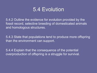 5.4 evolution | PPT