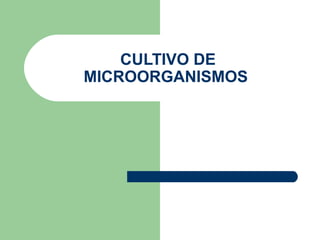 CULTIVO DE
MICROORGANISMOS

 
